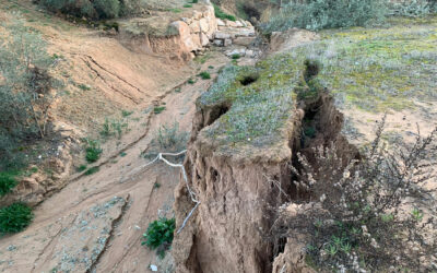 TFM: Detección Automática de Cárcavas en Olivares de la Cuenca del Guadalquivir a través de técnicas de Machine Learning