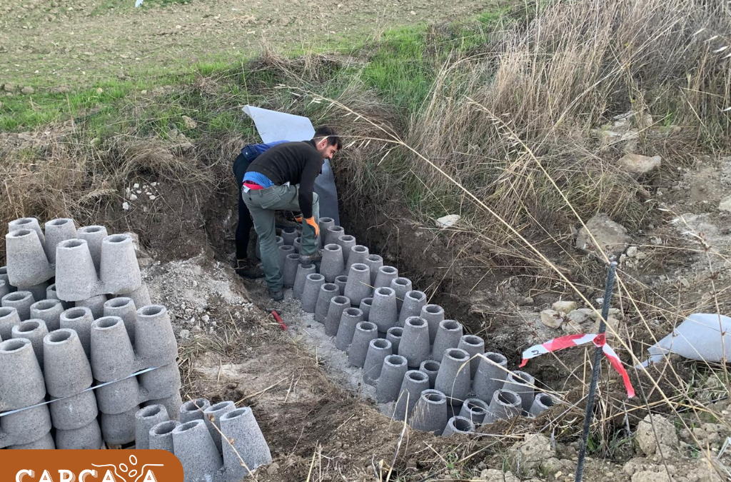 Actuaciones en Finca Piloto de Torre del Puerto