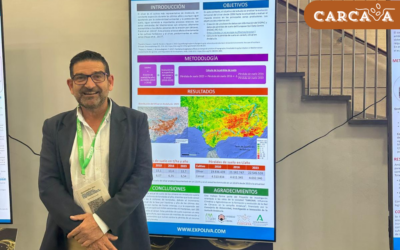 Segundo Día en Expoliva 2025