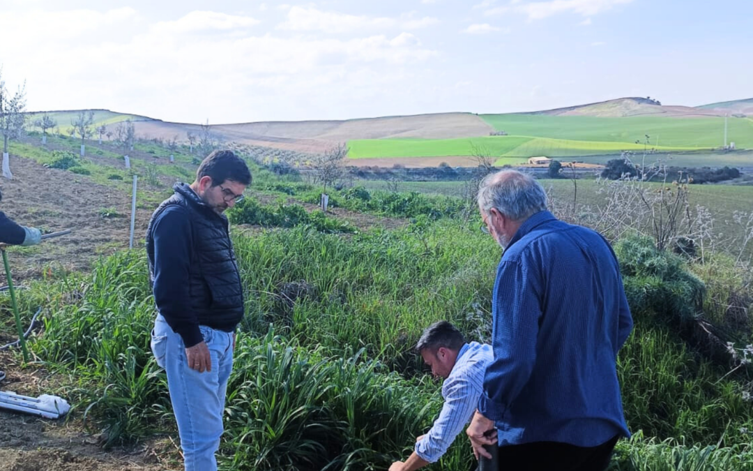 Actuación de Campo Fernán Núñez 26/02/2025