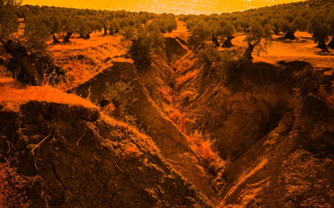 Esto no es Marte, es Andalucía…