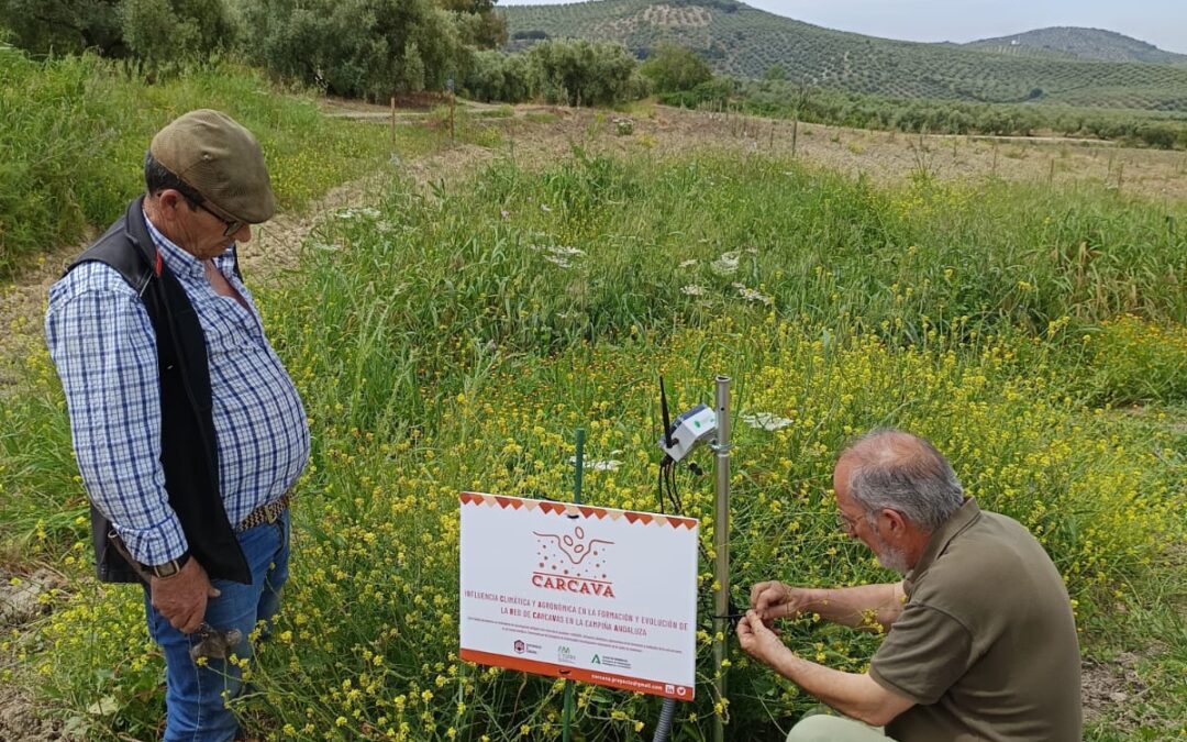 Nuevos Avances en Castro del Río