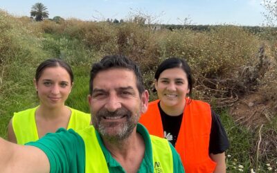Caracterización de Cárcavas en la Campiña Andaluza