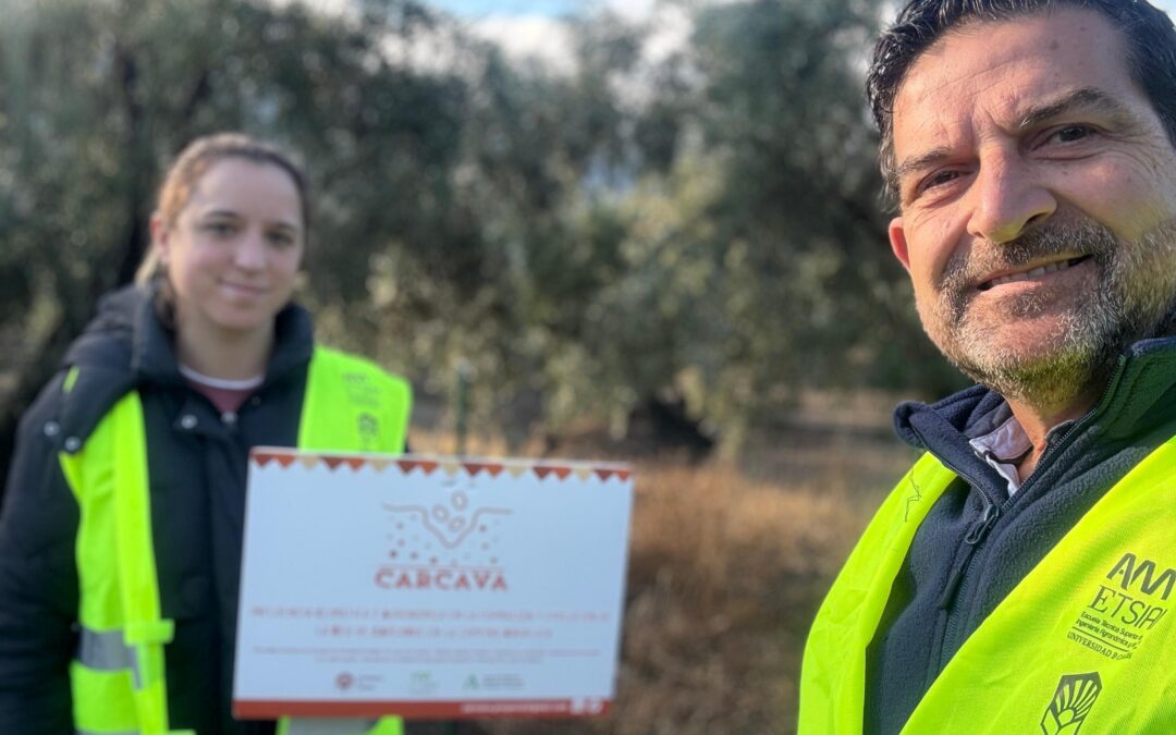 Recorriendo Andalucía en Búsqueda de Cárcavas