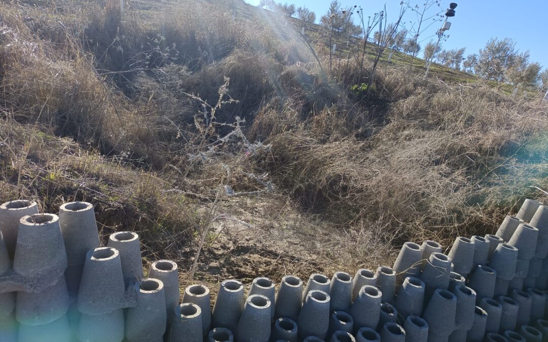 Así Frenamos la Erosión en Fernán Núñez