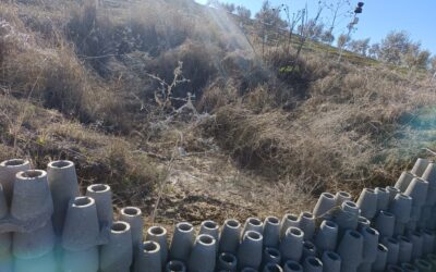 Así Frenamos la Erosión en Fernán Núñez