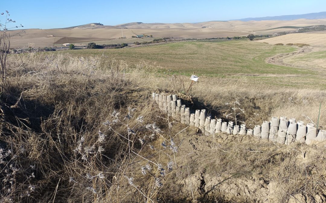 Nuevas actuaciones de monitoreo en terreno con UAV