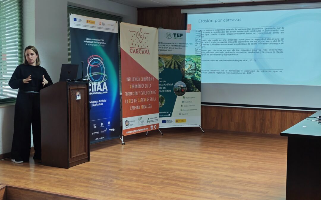 Vídeo Seminario «Inteligencia Artificial y Teledetección Aplicado al Sector Agroforestal”