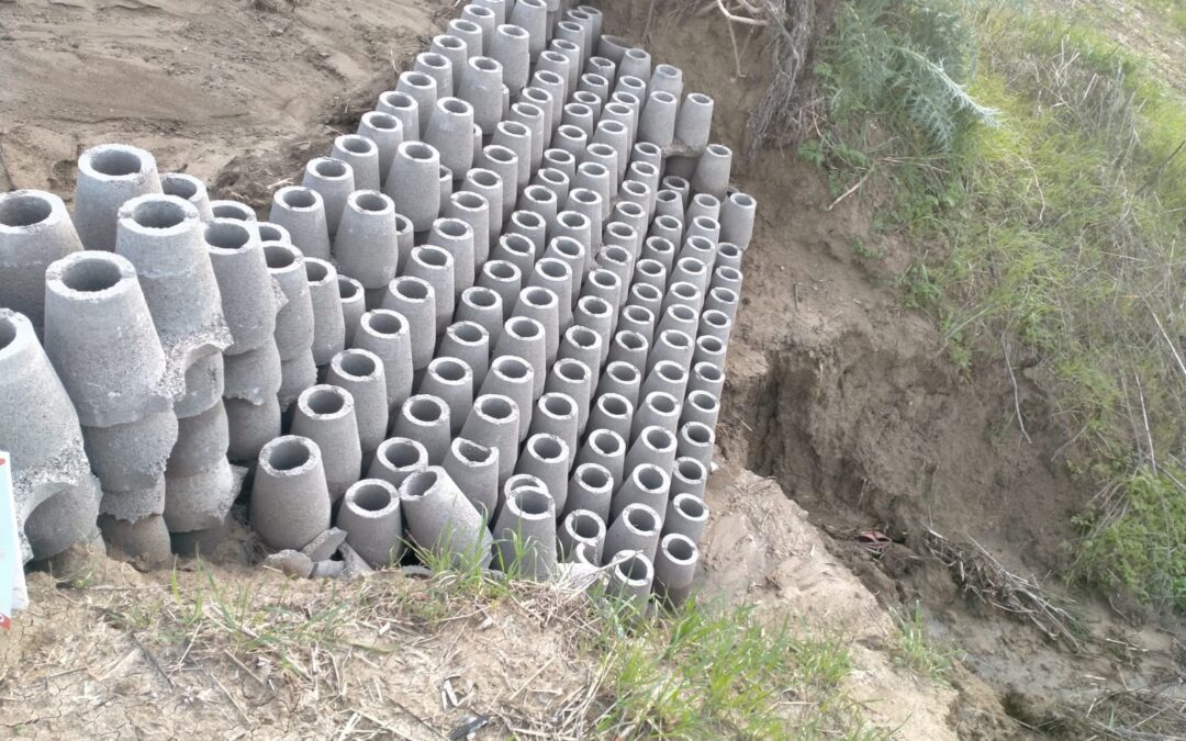 Resultados Diques Fernán Núñez