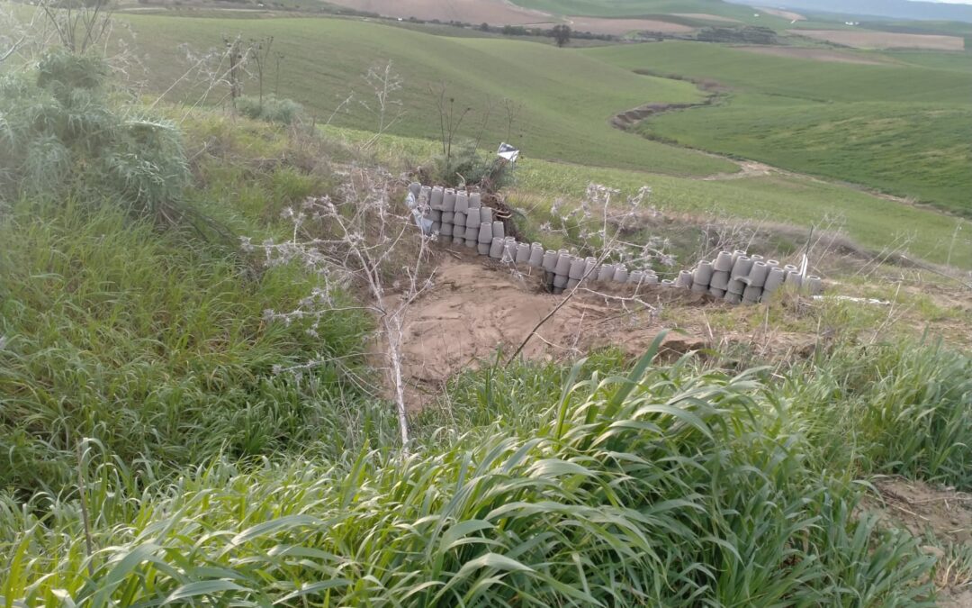 Actuación de Campo Fernán Núñez 14/02/2025