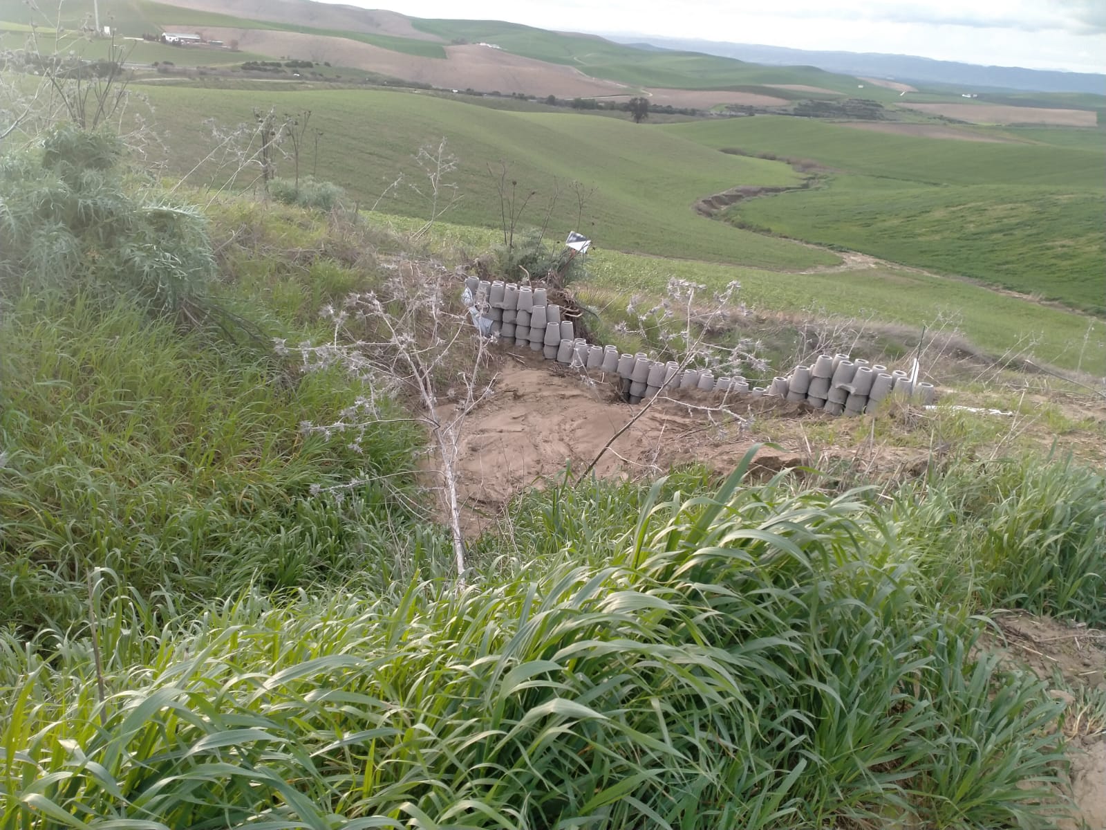 Actuación Fernán Núñez