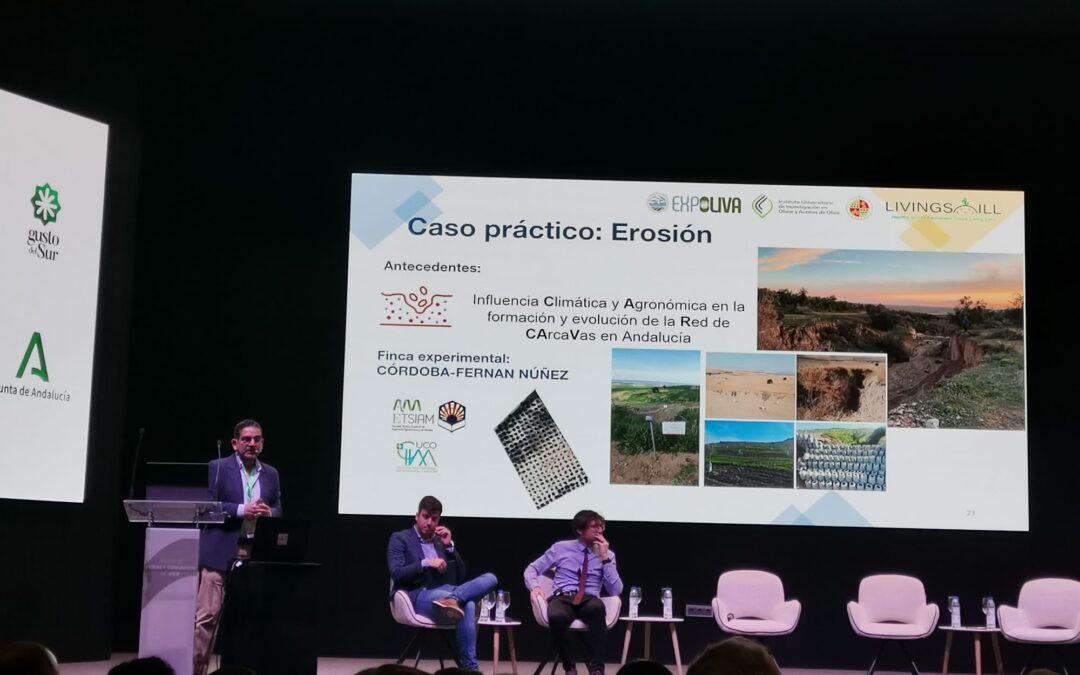 CARCAVA en la Presentación del Living Lab Andaluz – LivingSoiLL en EXPOLIVA 2025