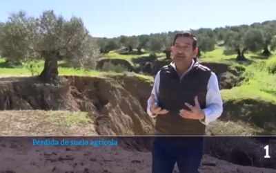 Pérdida de Suelo Agrícola en Andalucía – Entrevista para TVE