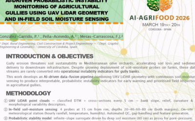 AI-Driven Probabilistic Instability Monitoring of Agricultural Gullies Using UAV LiDAR Geometry and In-Field Soil Moisture Sensing