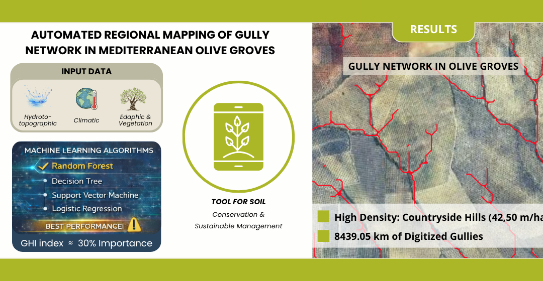Regional-Scale Mapping of Gully Network in Mediterranean Olive Landscapes Using Machine Learning Algorithms: The Guadalquivir Basin