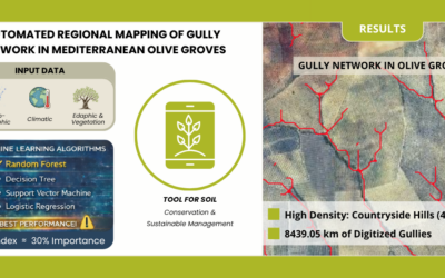 Regional-Scale Mapping of Gully Network in Mediterranean Olive Landscapes Using Machine Learning Algorithms: The Guadalquivir Basin