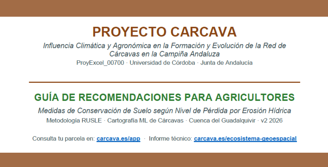 Guía Recomendaciones